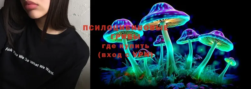 Псилоцибиновые грибы Psilocybe  магазин продажи   Валуйки 